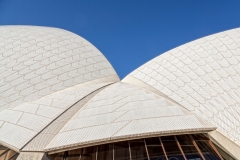 Opera House Roof