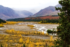 Braided River Braided River