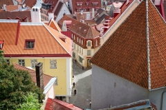 Looking Over Tallin